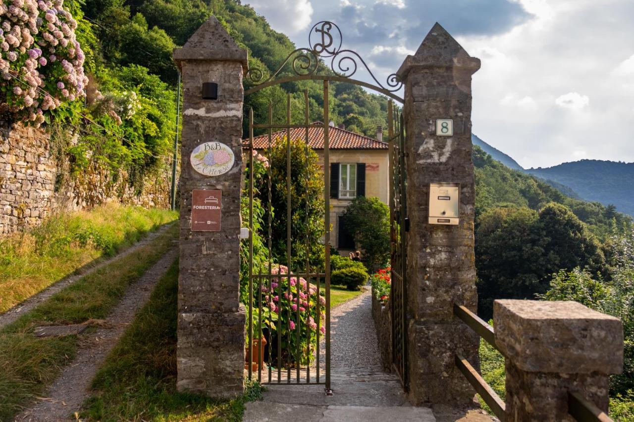 B&B Villa Le Ortensie Faggeto Lario Exterior photo